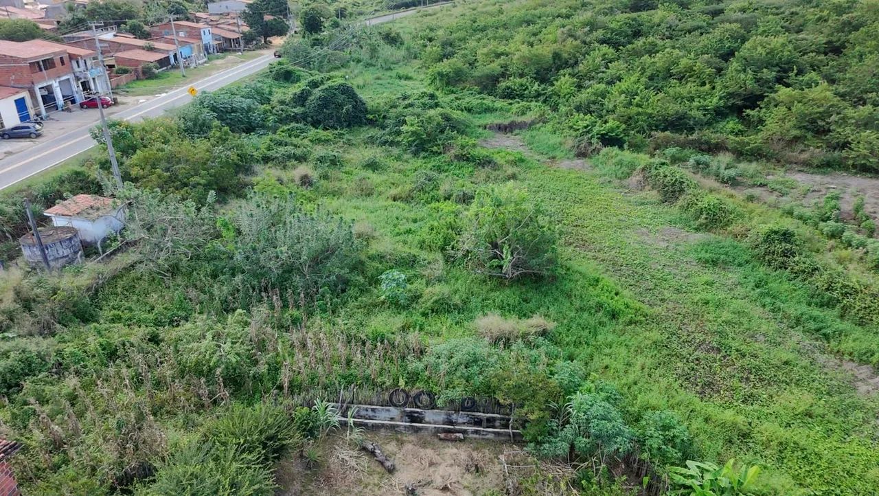 Casa  - Foto 3