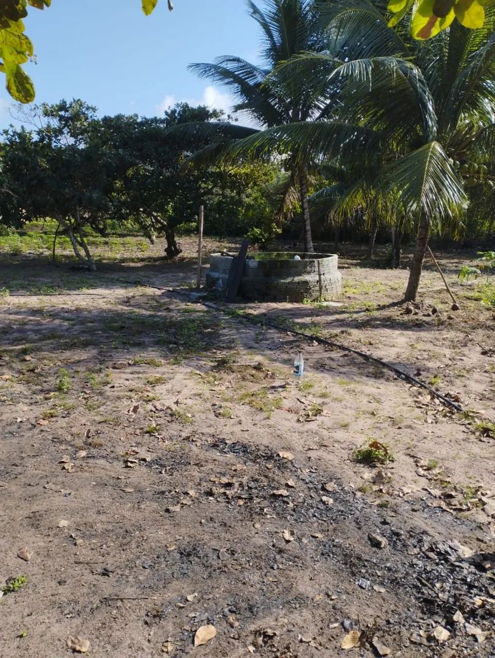 Granja em Extremoz  - Foto 4