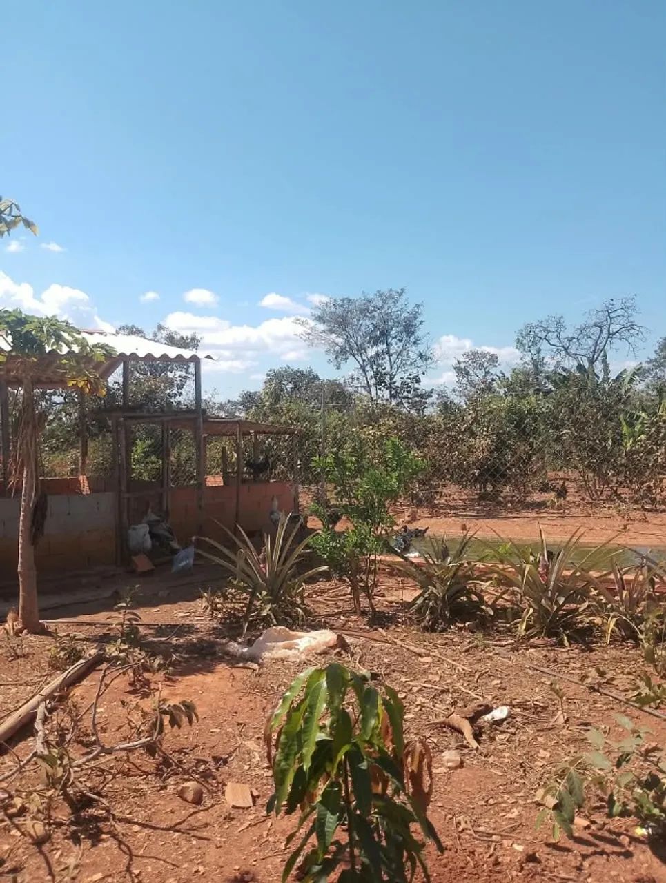 Chácara - Foto 3