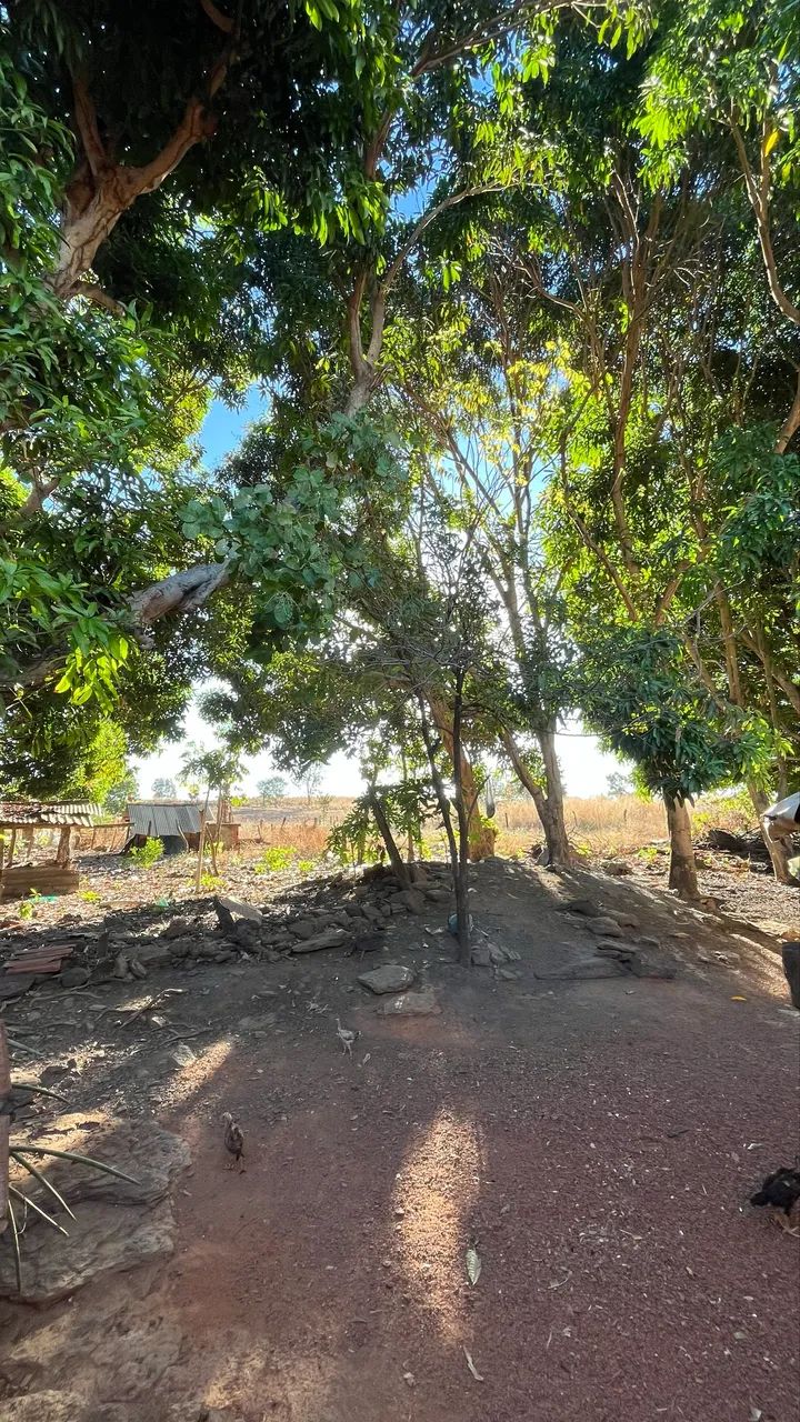 Chácara à venda próximo a Barrolândia-TO | Casa, pomar formado e excelente localização - Foto 2