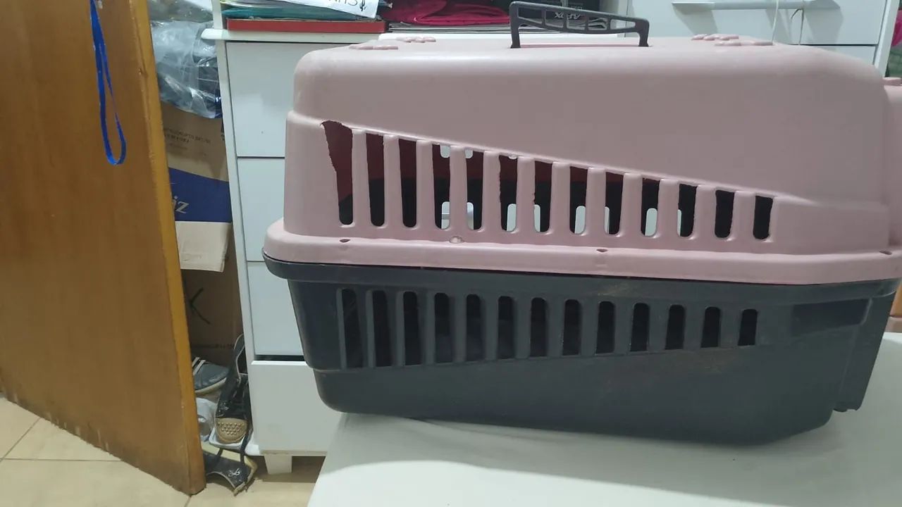 Caixa de transporte para pets sem grade