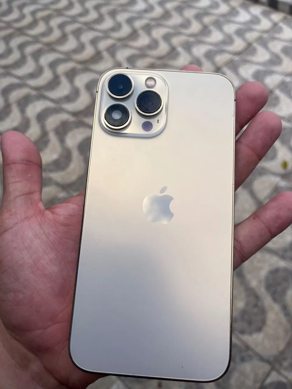 iPhone 13 Pro Max perfeito 