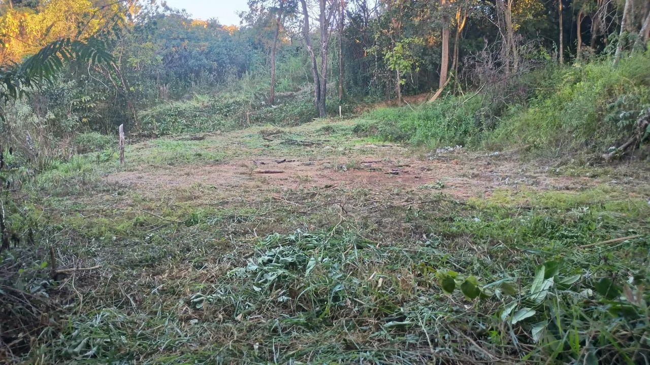 Lote em igarapé  - Foto 3