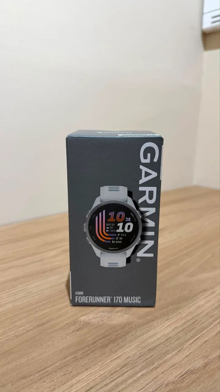 Garmin 170 music 