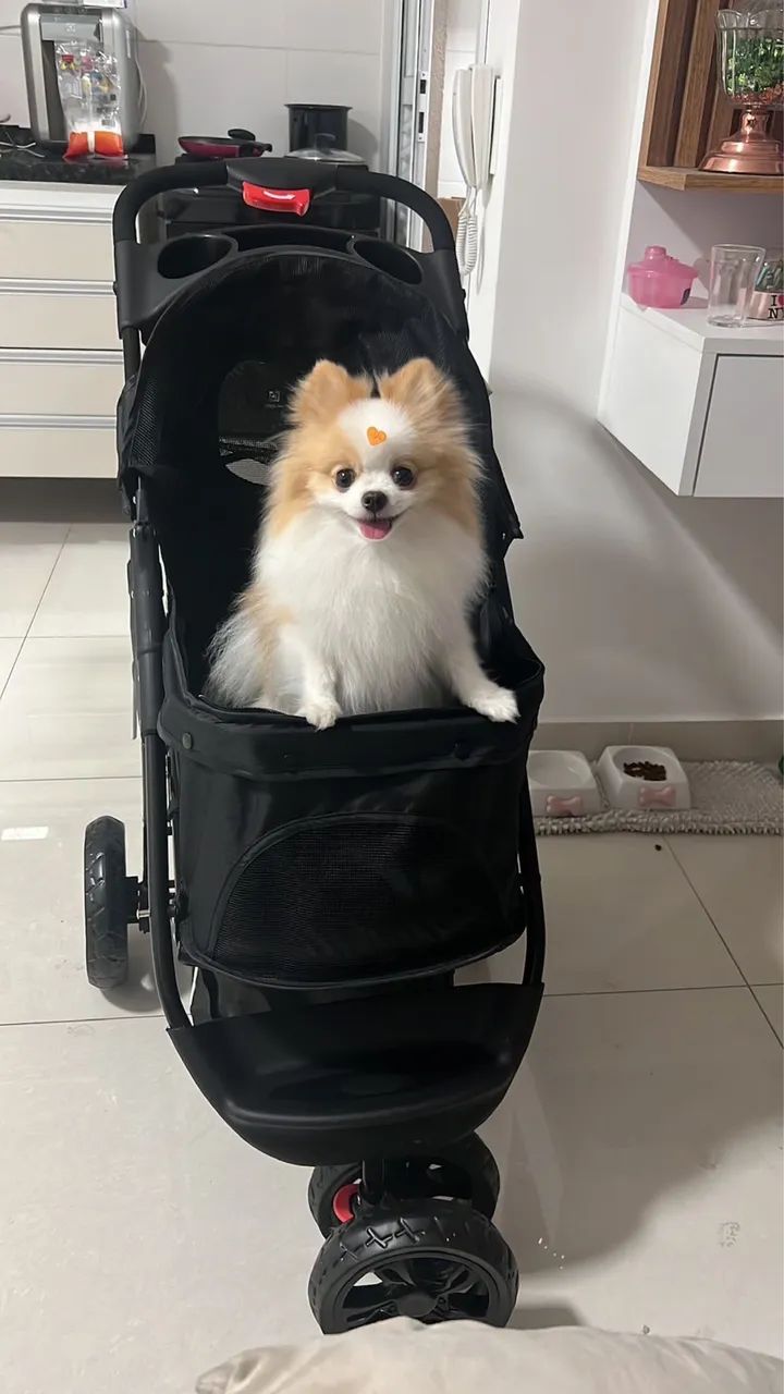 Carrinho para pet - Foto 2
