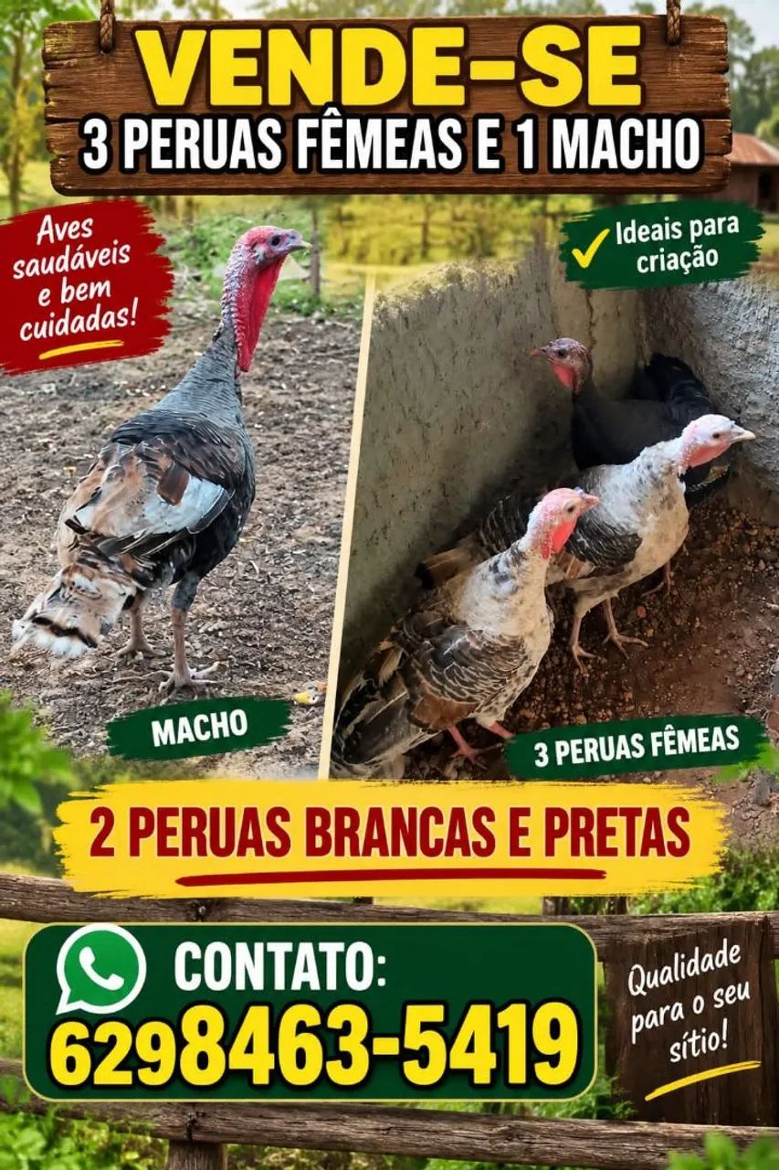 Perus 