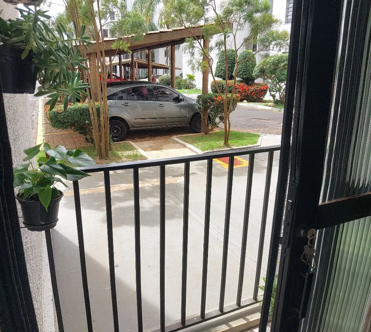 Foto - Araraquara - Jardim Botânico