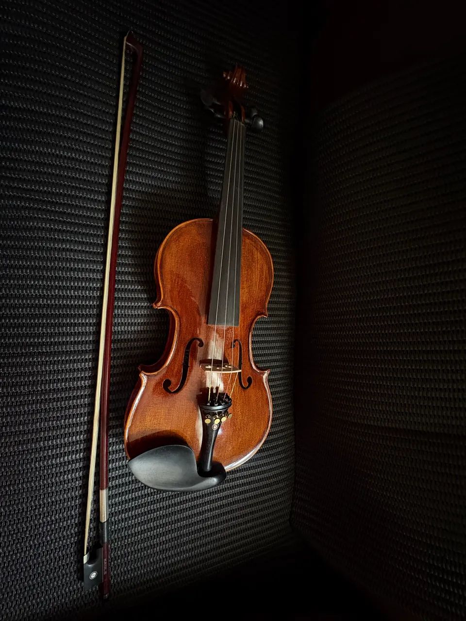 Violino Eagle Vk-644