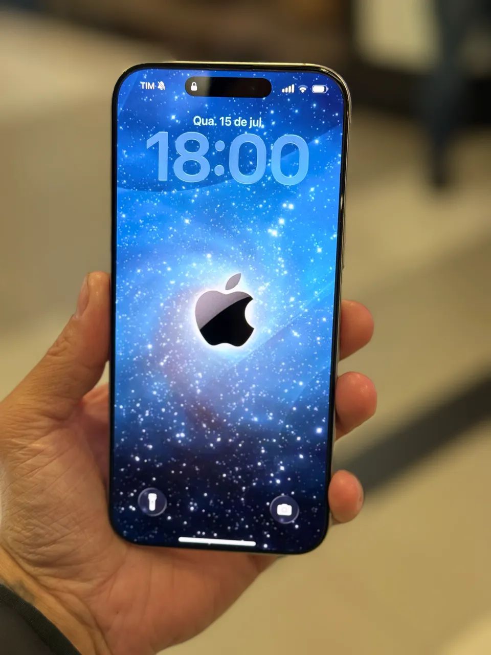 16 PRO MAX 256 GB 