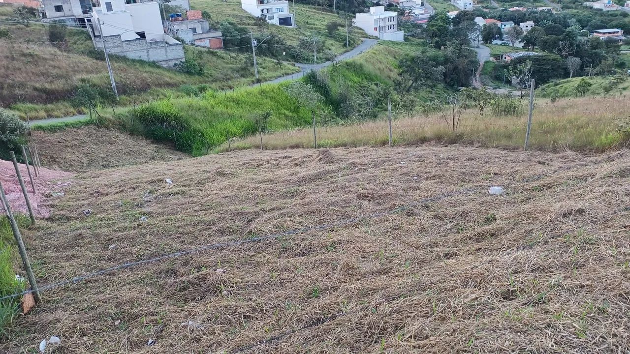 Lote - Foto 3