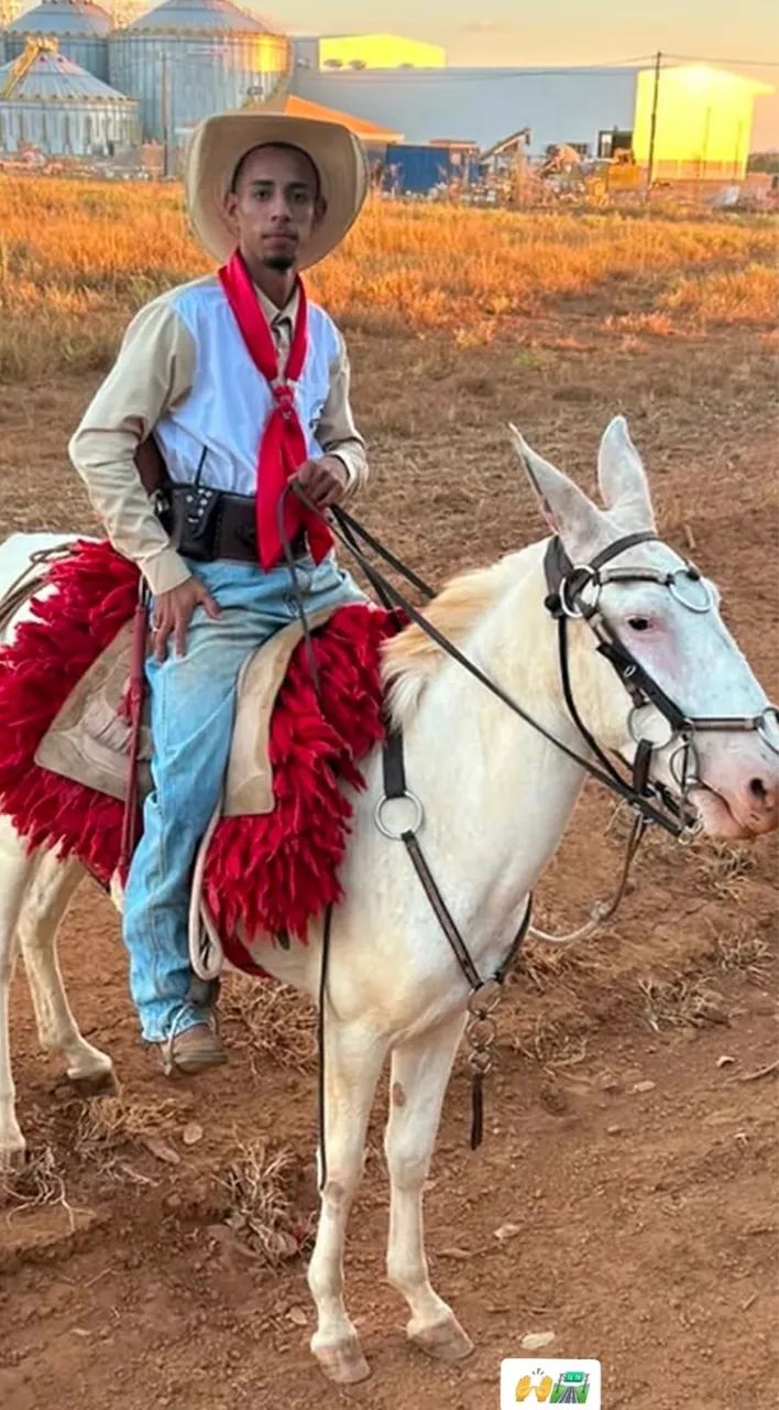 BURRO RE PATRÃO 3 ANOS  - Foto 4