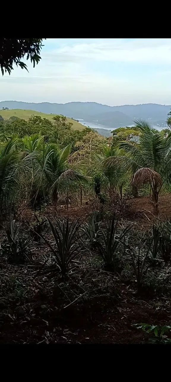 VENDO OU TROCO SÍTIO - Foto 4