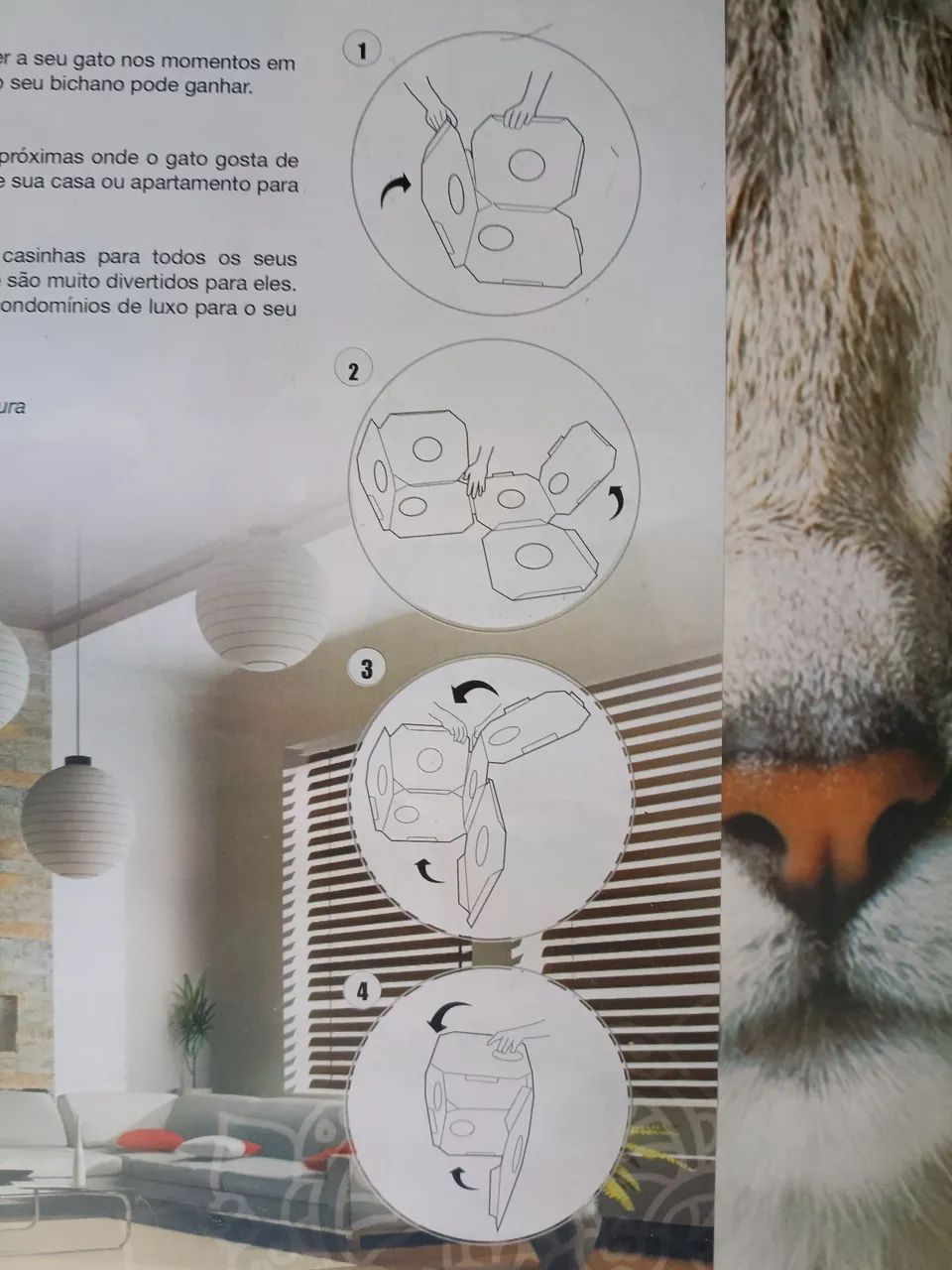 CATBOX Caixa Brinquedo para Gatos - Foto 3