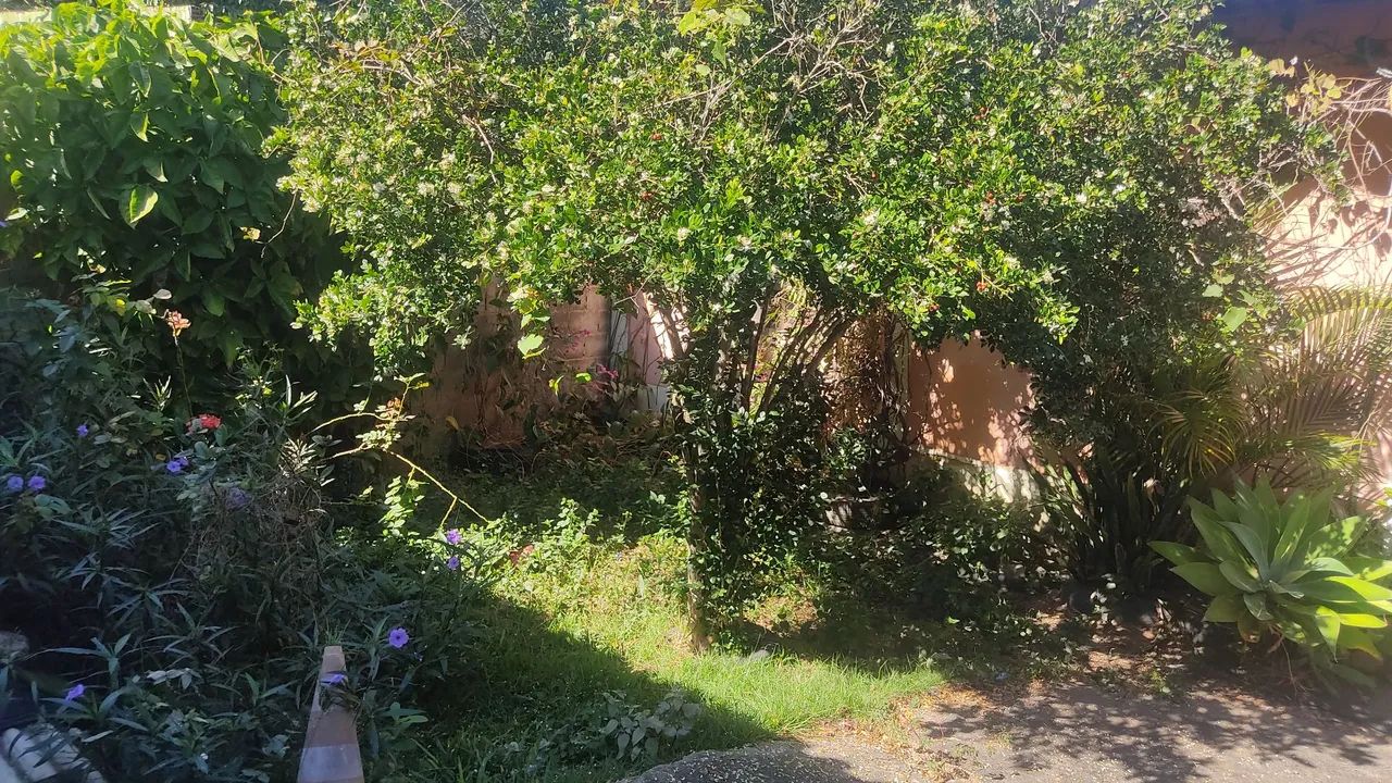 Terreno chácara sitio Nova Almeida  - Foto 2