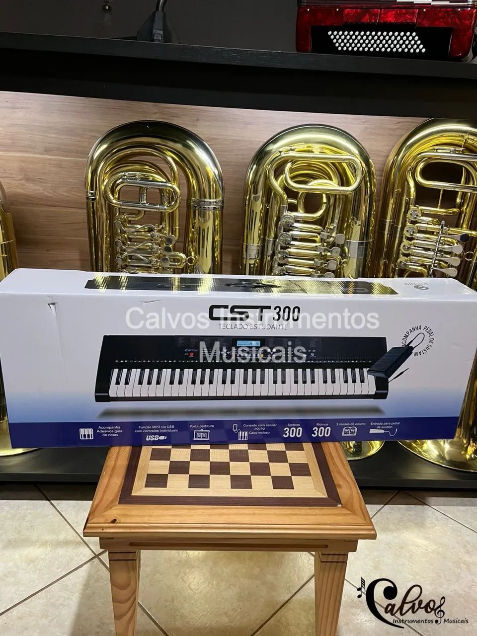 Teclado CST-300 Estudante