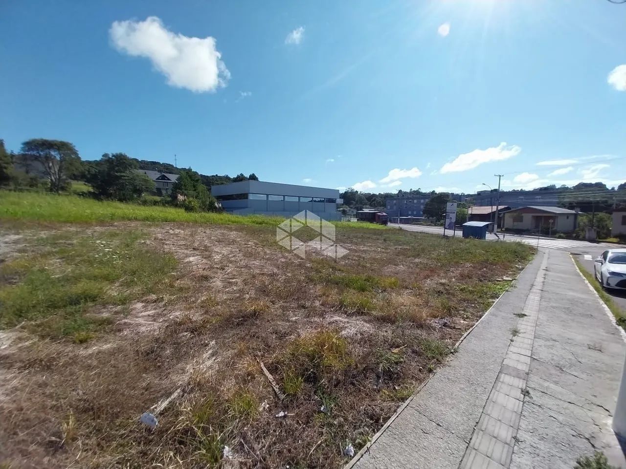 Terreno com 1200m² - Foto 4