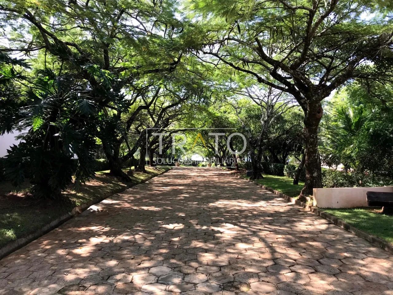 área - São Berto - Manduri - Foto 2