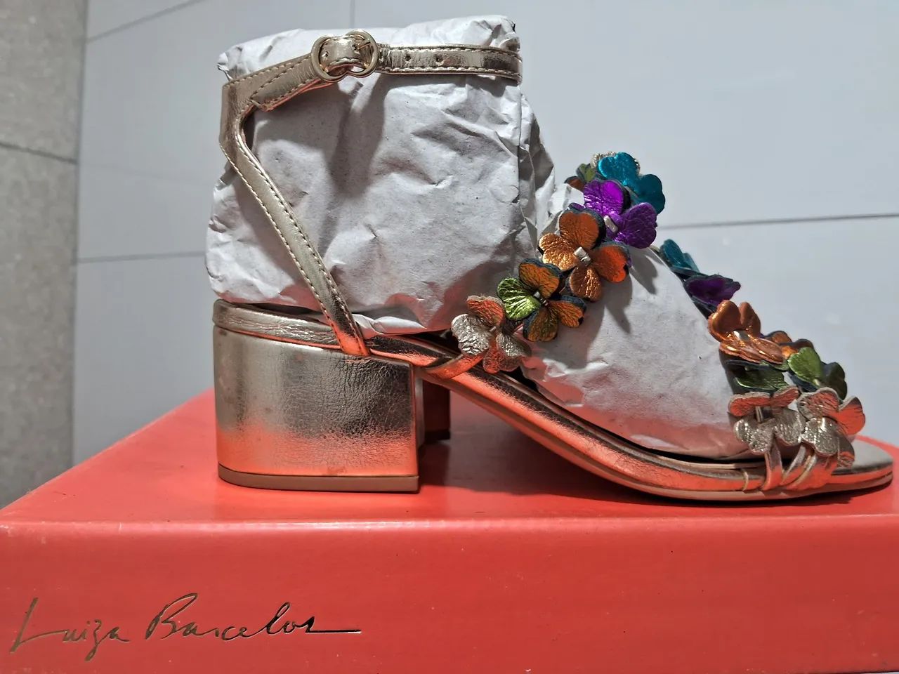 Sandália Luiza Barcelos - Foto 3
