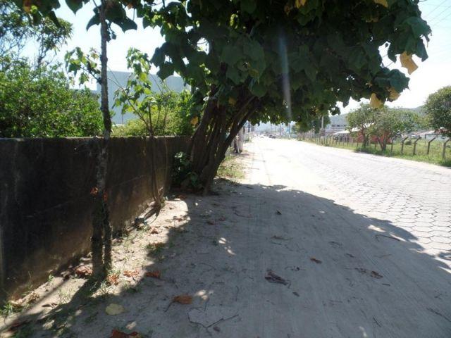 Terreno com casa em Perequê - Porto Belo - Foto 4
