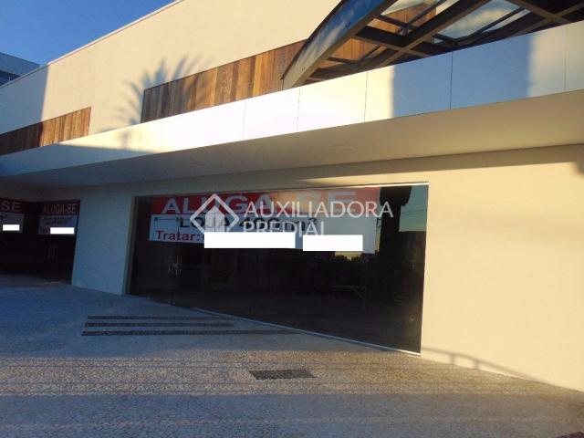 Loja comercial para alugar em Vila ipiranga, Porto alegre cod:242289 - Foto 10