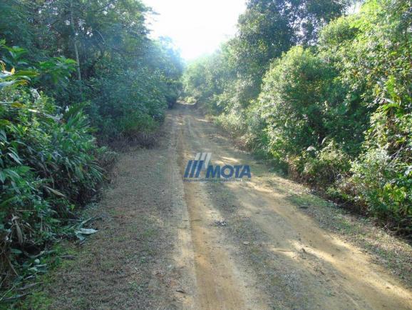 Fazenda antonina - Foto 14