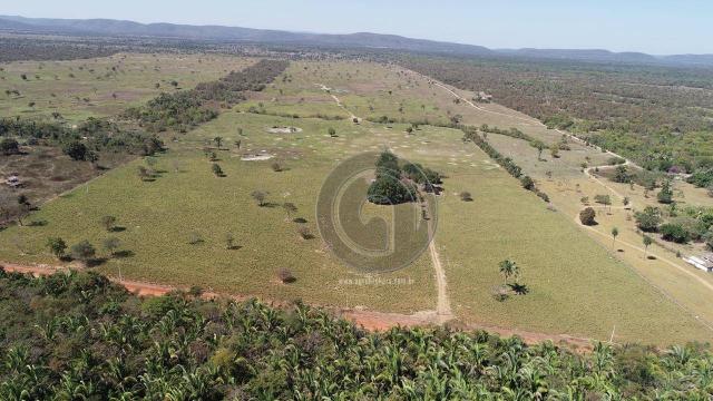 Fazenda para pecuária 185 ha santo antonio leverger - Foto 2