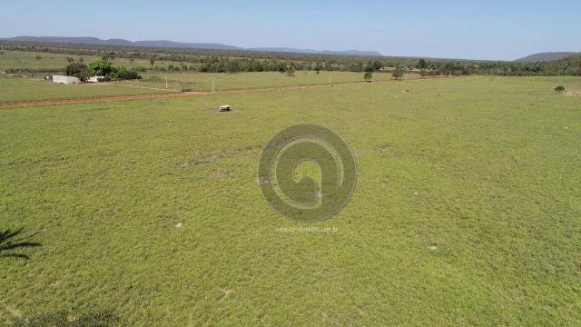 Fazenda para pecuária 185 ha santo antonio leverger - Foto 5