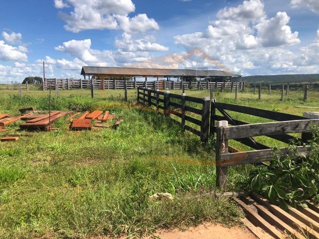 9Fazenda de 2.560 hectares para Venda, em Paranatinga / MT - Foto 8