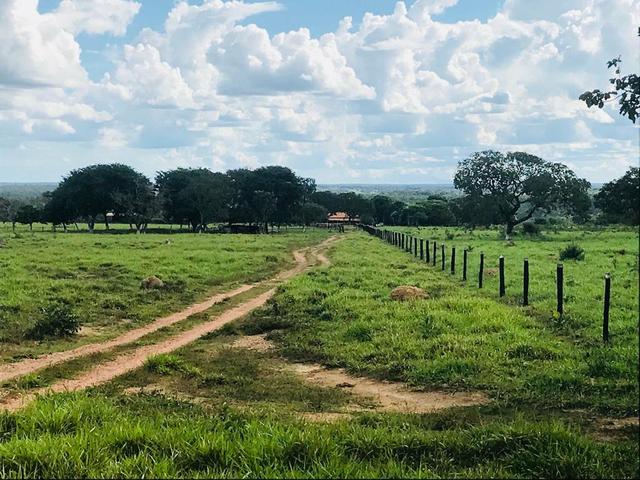 Fazenda 354,hectares - Foto 3