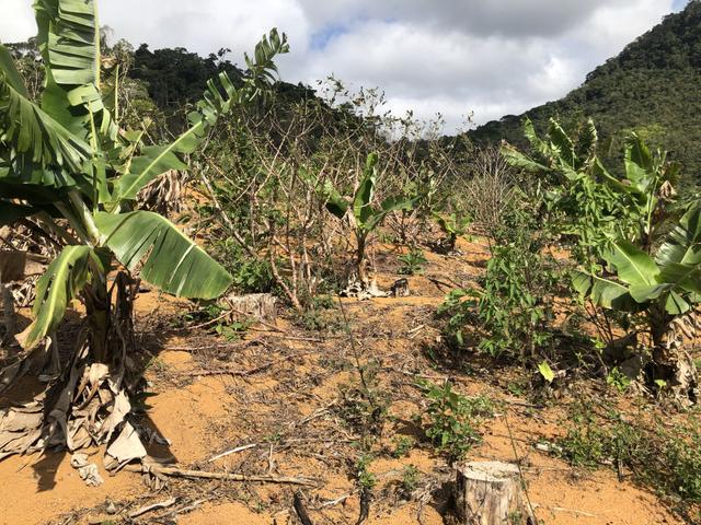 Grande oportunidade em Santa Teresa a 1,5km do asfalto - Foto 5