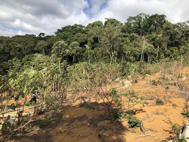 Grande oportunidade em Santa Teresa a 1,5km do asfalto - Foto 2
