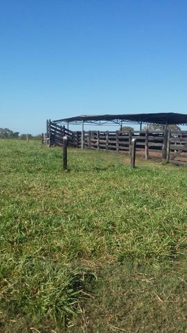 Fazenda 354,hectares - Foto 2