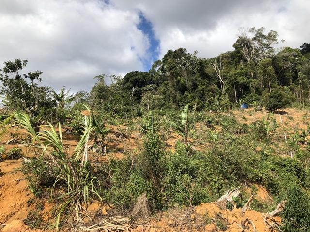 Grande oportunidade em Santa Teresa a 1,5km do asfalto - Foto 6