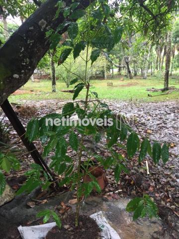 Sítio à venda em Jauá, Camaçari cod:776377 - Foto 5