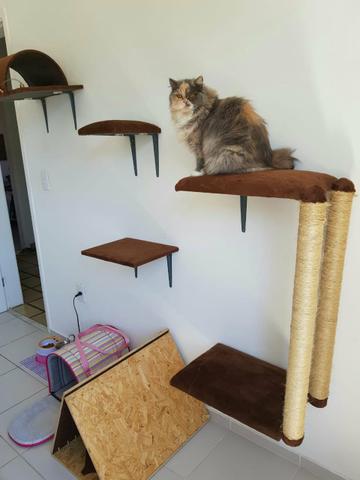 Prateleiras para gatos - Foto 2