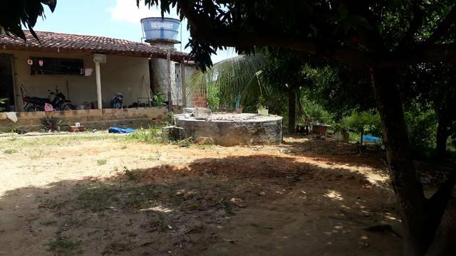 Vende-se um sítio em santa casa mirueira Paulista - Foto 11