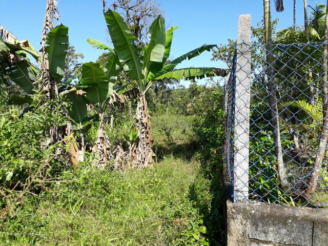 Terreno de chácara - Foto 2
