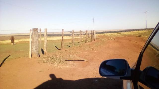 Fazenda Amanbai MS - Foto 3