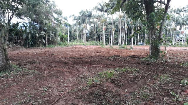 Terreno em Morretes ótimo para chácara - Foto 3
