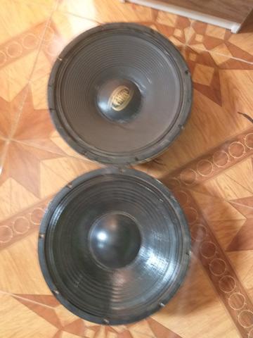 Auto falante 15P - Foto 3