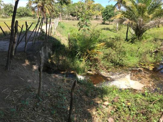Fazenda à venda, 195 hectares por r$ 4.875.000 - mendes - são josé de mipibu/rn - Foto 4