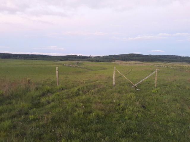 Vendo ótimo propriedade para comércio 7 .5 hc de frente para rota sol - Foto 5