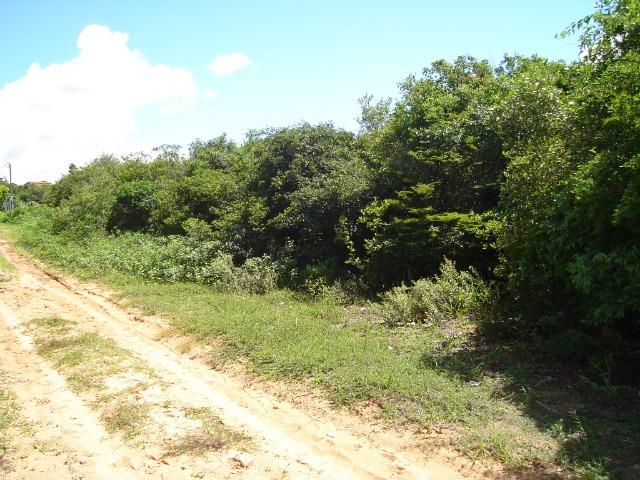 Vendo Terreno na Praia de Genipabú - Foto 4