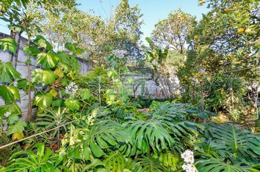Terreno à venda em Sao lourenco, Curitiba cod:143184 - Foto 13