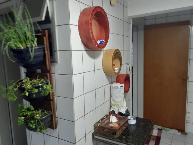 Apartamento no St. Bela Vista 3 quartos 1 vaga, Oportunidade !! - Foto 8