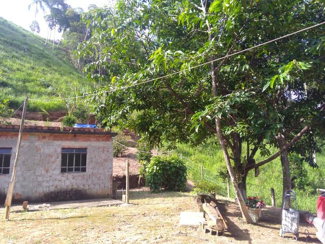 Vendo uma granja - Foto 4