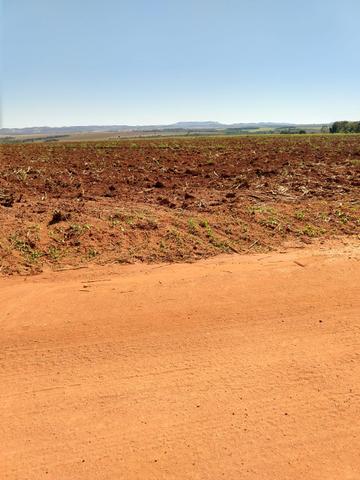 Excelente fazenda cultura pura - Foto 10