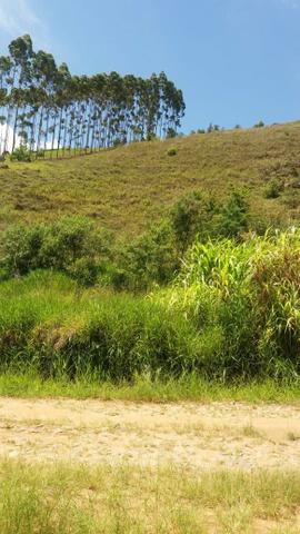 Vendo Granja 2.200m² - Foto 3