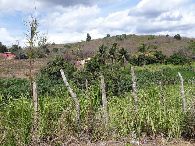 Vende-se um sítio em bom jardim - Foto 6