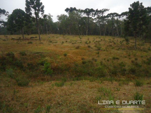 Chácara à venda em Bituvinha, Mafra cod:216CH - Foto 20